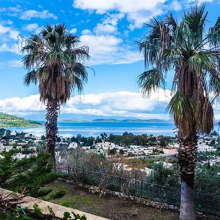 Ale Luxury Villas Vila Bodrum